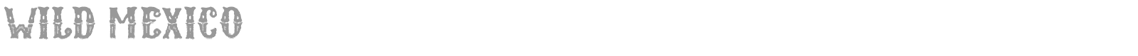 Wild Mexico font preview